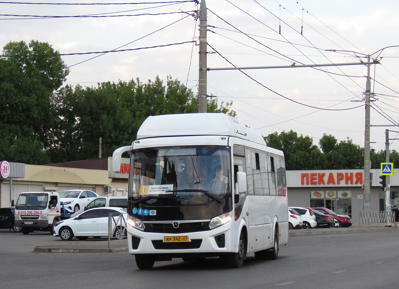 Краснодарский край, ПАЗ-320415-14 "Vector Next" № АМ 342 23