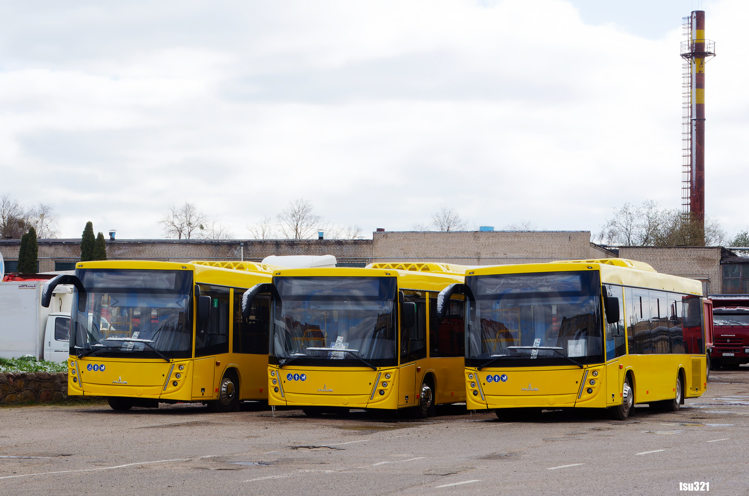 Гродненская область, МАЗ-206.047 № 012040