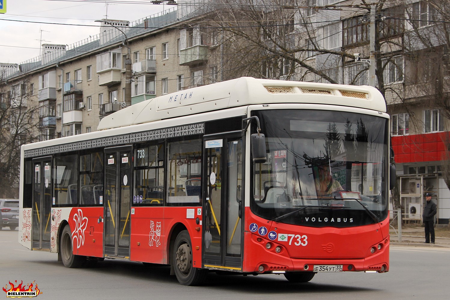 Владимирская область, Volgabus-5270.G4 (CNG) № 733