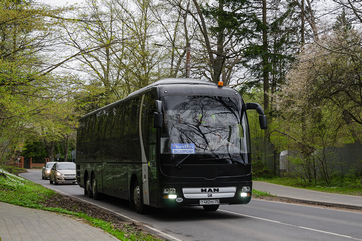 Калининградская область, MAN R08 Lion's Coach L RHC444 L № Т 482 МУ 39