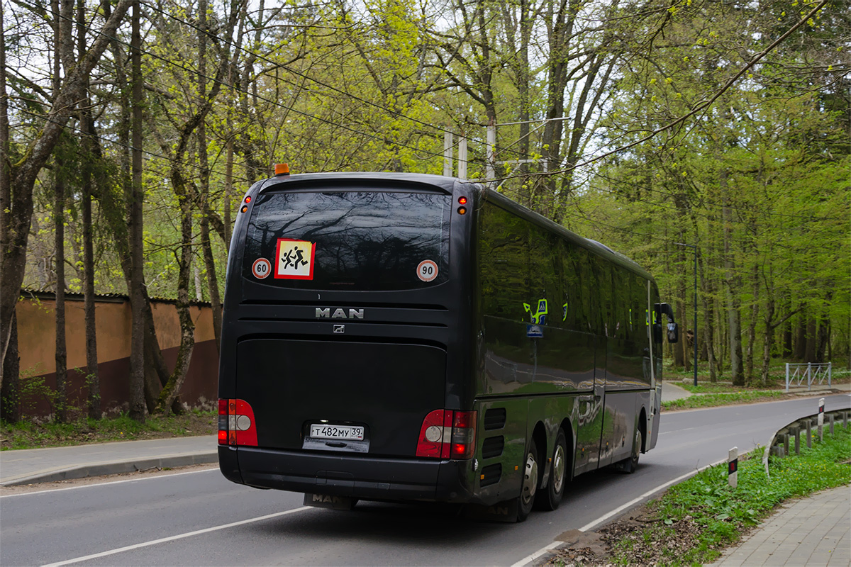 Калининградская область, MAN R08 Lion's Coach L RHC444 L № Т 482 МУ 39