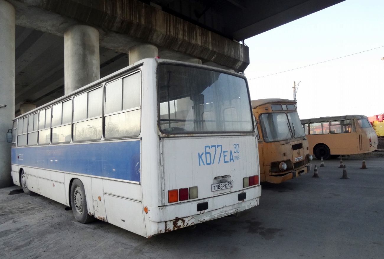 Maskva, Ikarus 260.51 Nr. Т 186 РК 797