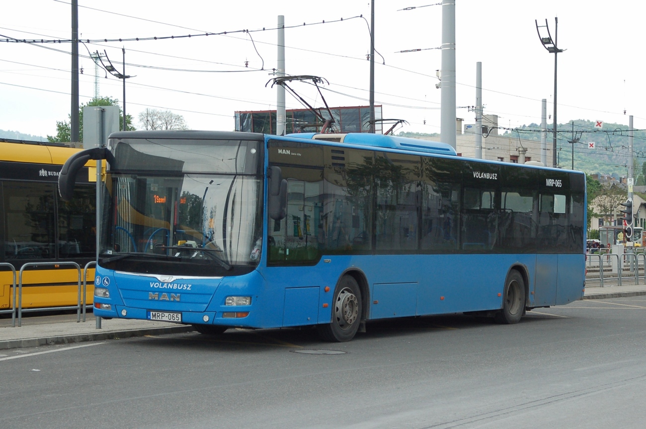 Ουγγαρία, MAN A21 Lion's City NL283 # MRP-065