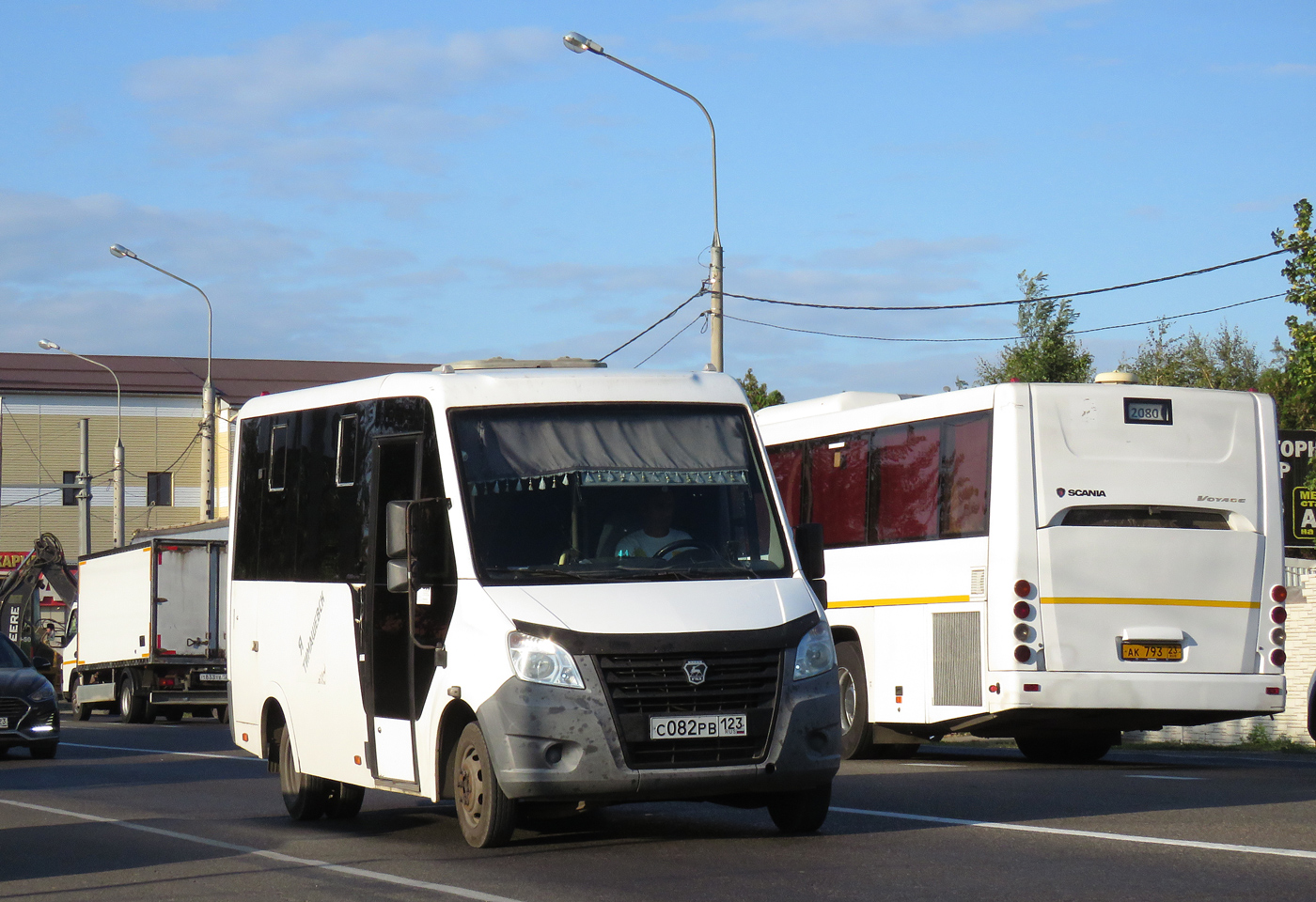 Краснодарский край, ГАЗ-A63R42 Next № С 082 РВ 123