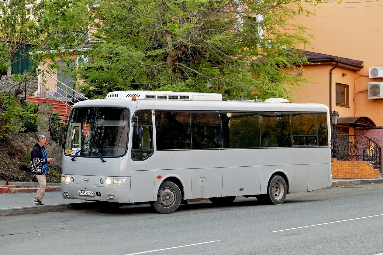 Приморский край, Hyundai AeroTown № С 813 АХ 125