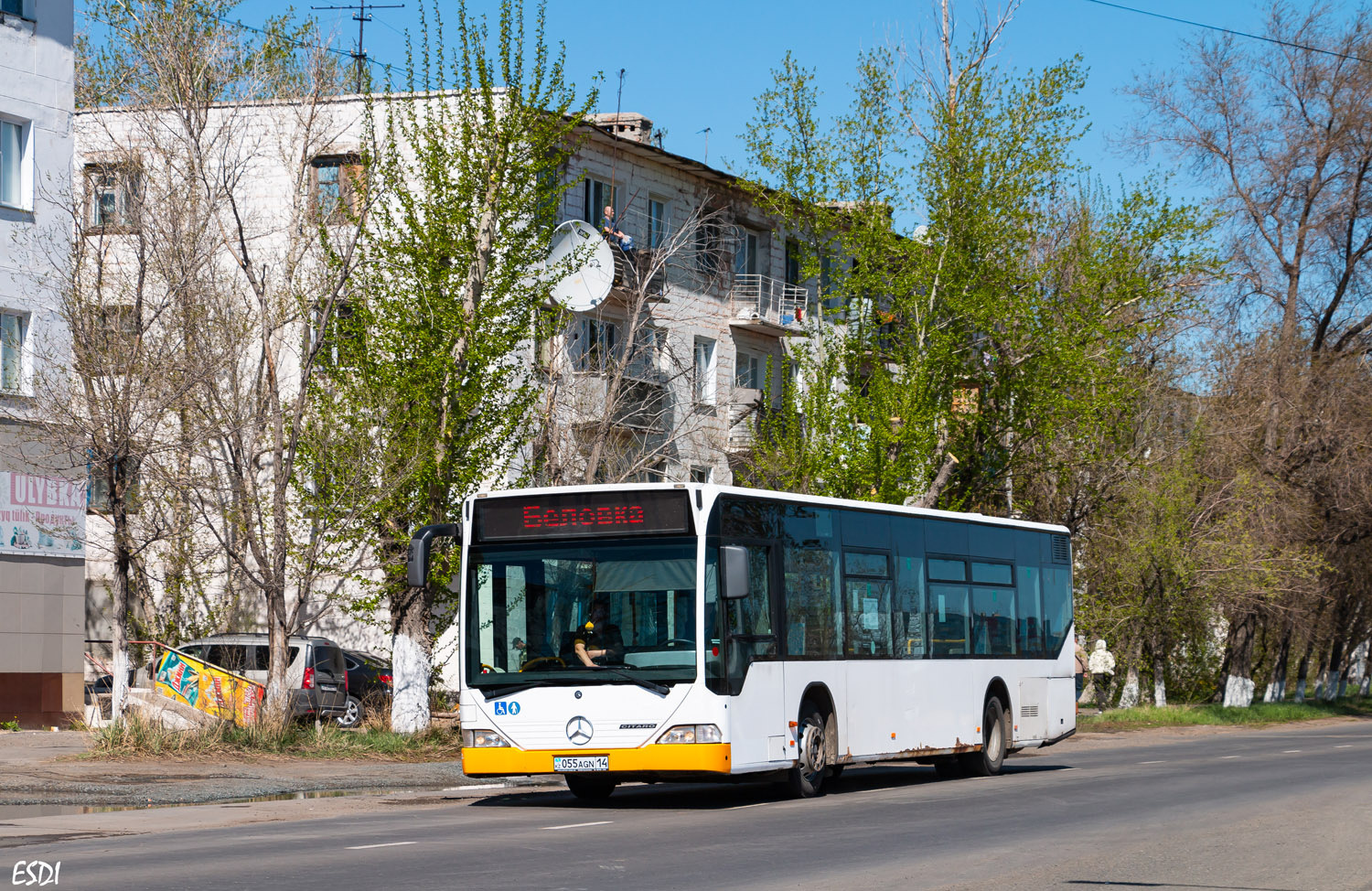 Павлодарская область, Mercedes-Benz O530 Citaro (все) № 013