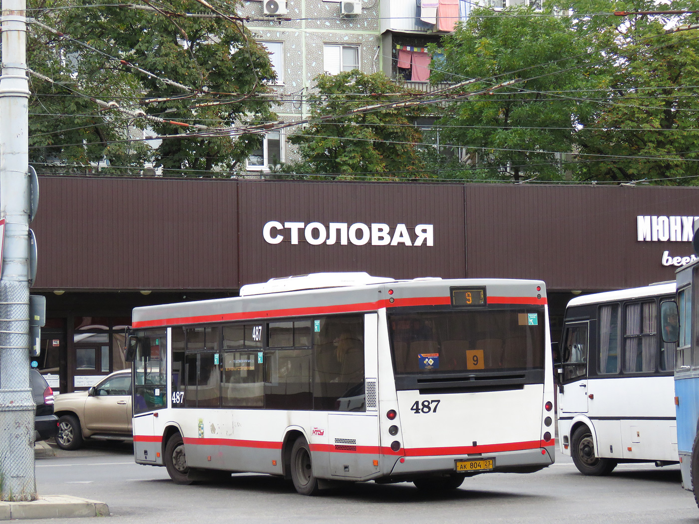 Краснодарский край, МАЗ-206.086 № 487