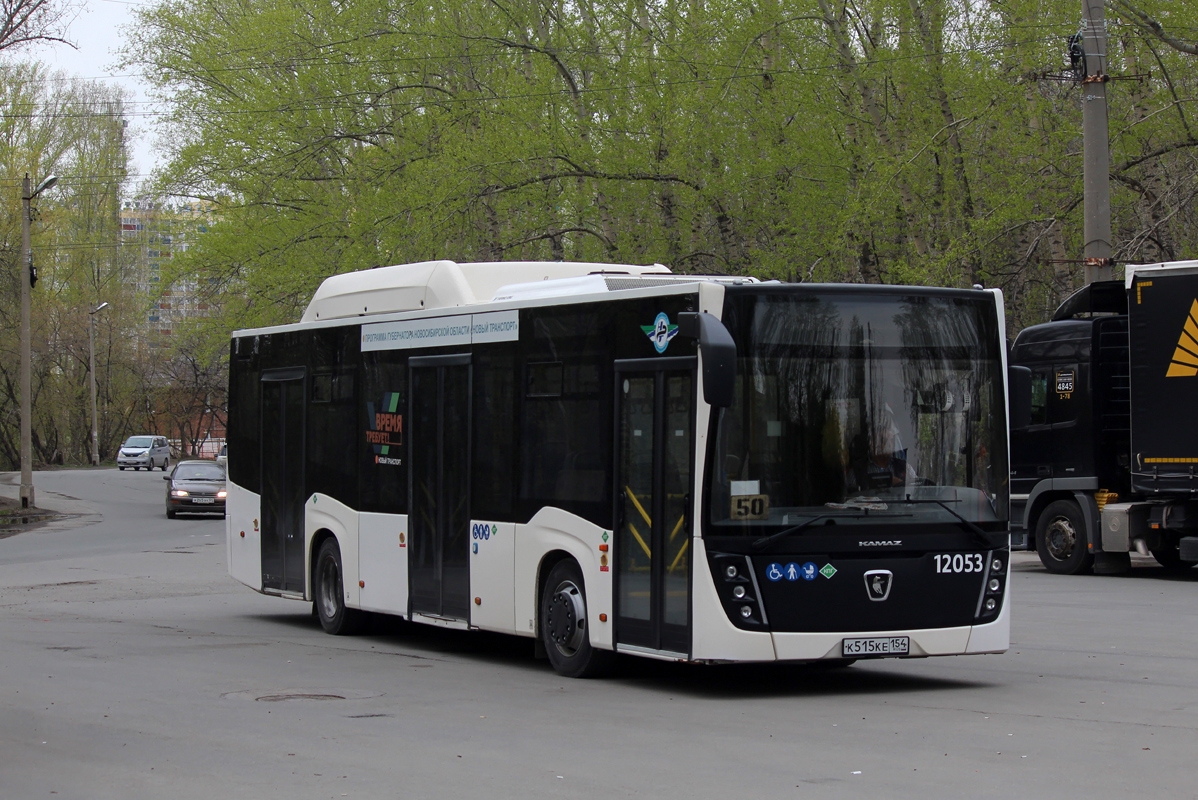 Новосибирская область, НефАЗ-5299-30-57 № 12053