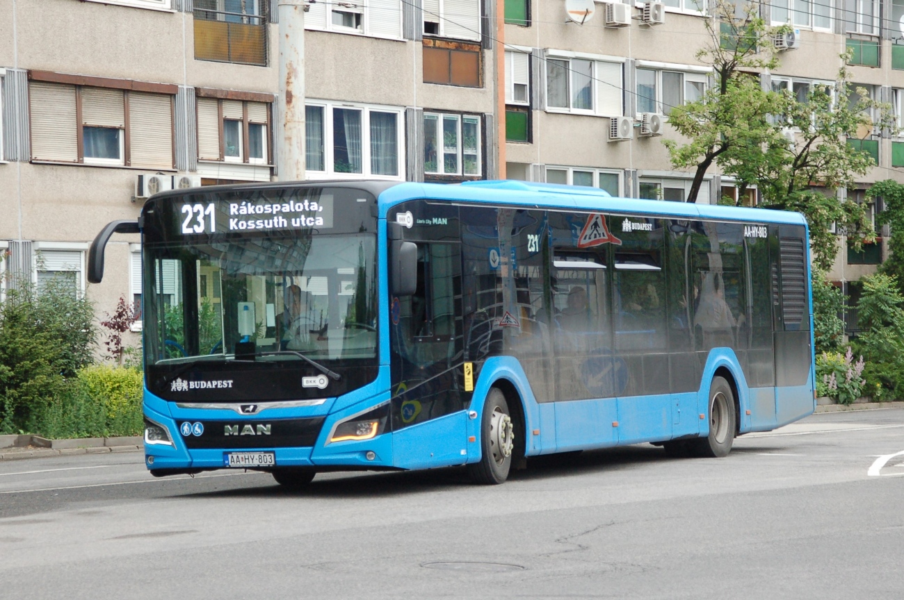 Венгрия, MAN 12C Lion's City 12 NL280 № AA HY-803
