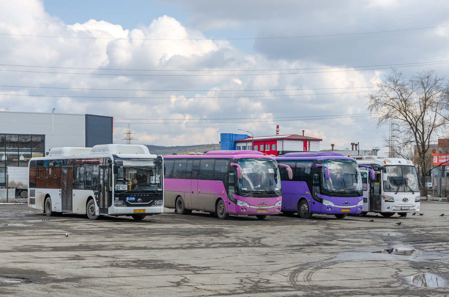 Свердловская область, Yutong ZK6116HG № КР 239 66