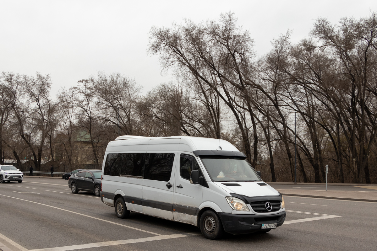 Жетысуская область, Mercedes-Benz Sprinter W906 313CDI № 787 ABV 19
