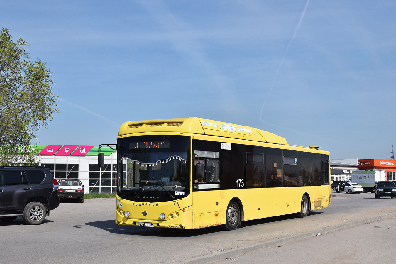 Волгоградская область, Volgabus-5270.G2 (CNG) № 173