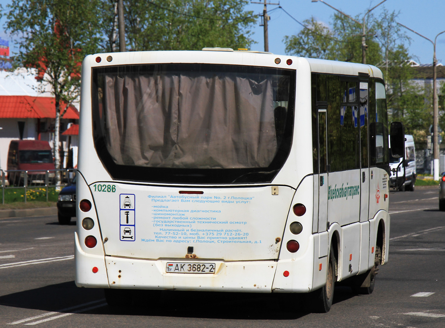 Витебская область, МАЗ-241.000 № 010286