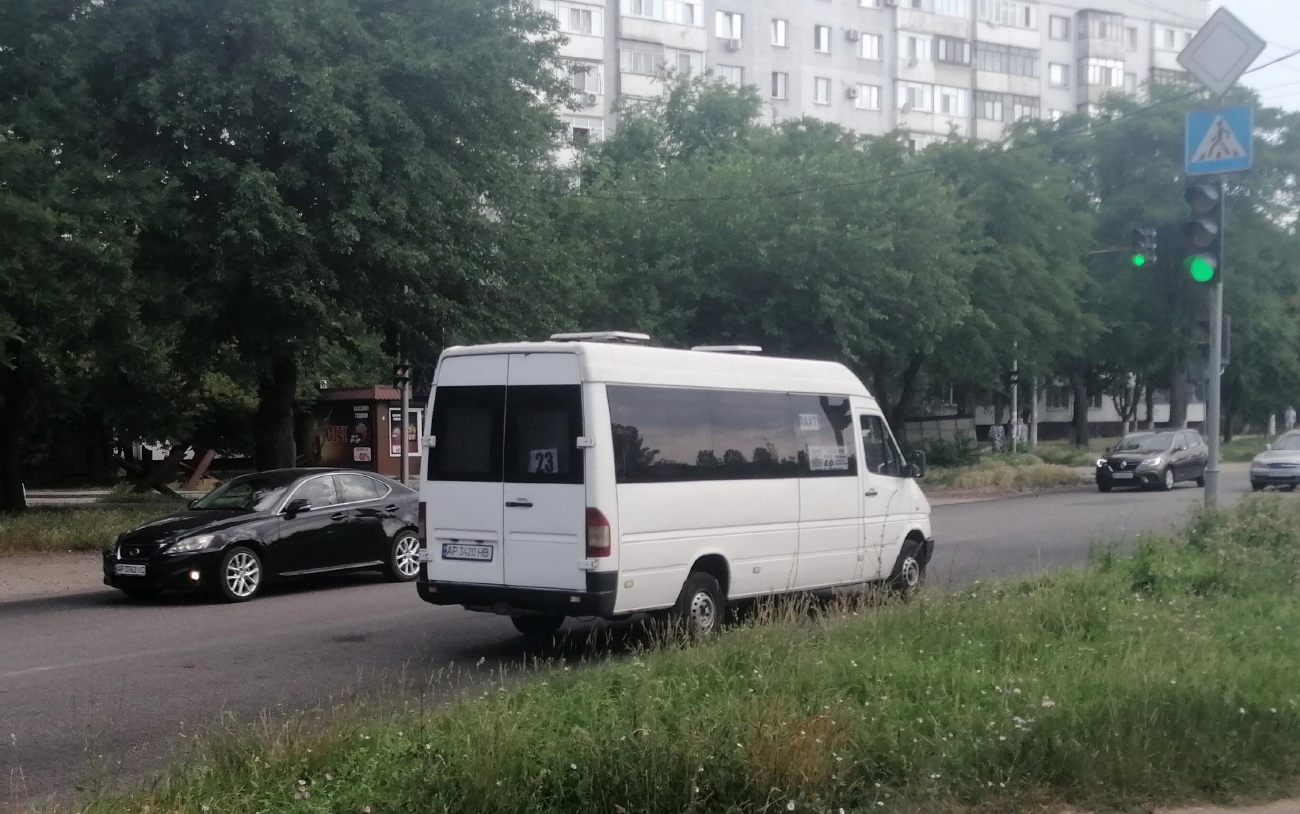 Запорожская область, Mercedes-Benz Sprinter W903 312D № AP 3420 HB