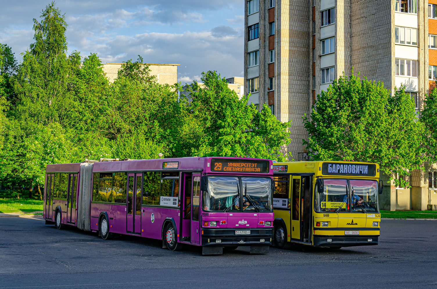 Брестская область, МАЗ-105.065 № 11200; Брестская область — Автовокзалы, автостанции, конечные остановки