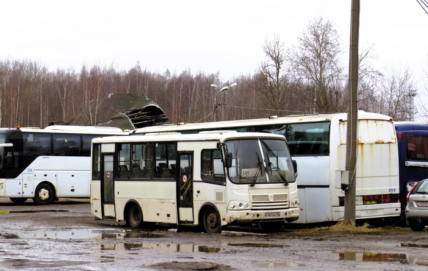 Новгородская область, ПАЗ-320402-03 № В 161 КН 76