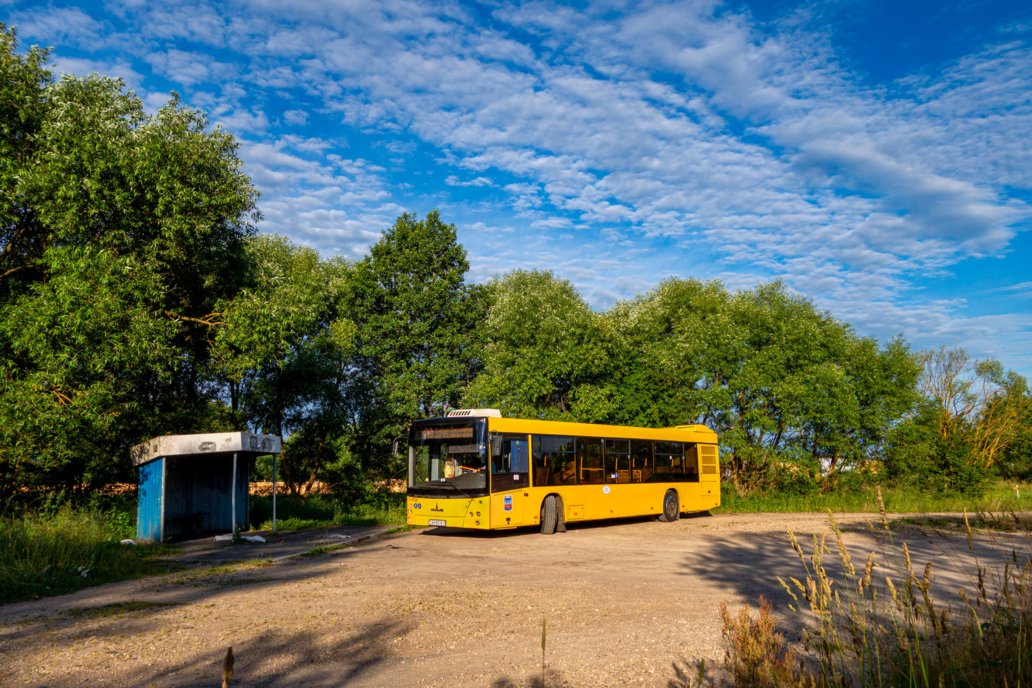 Минск, МАЗ-203.169 № 012841