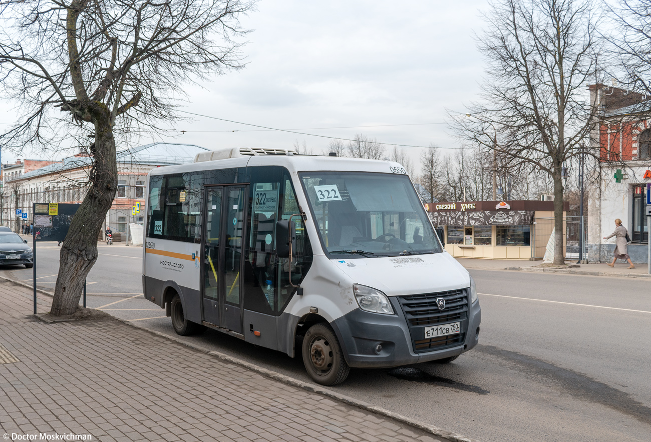 Московская область, Луидор-2250DS (ГАЗ Next) № 123650