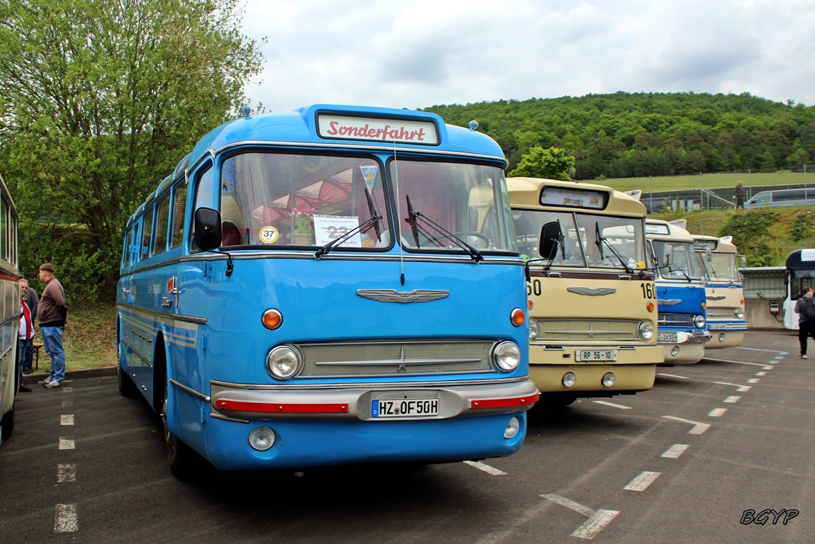 Саксония-Анхальт, Ikarus  55.62 № HZ-OF 50H; Тюрингия — 8. Ikarus-Bus-Treffen in Deutschland — Meiningen 17.05.2025
