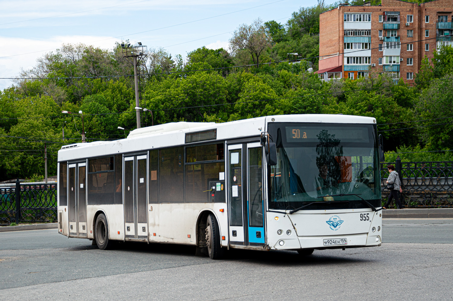 Самарская область, МАЗ-203.016 № 955 Самарская область, МАЗ-203.016 № 955