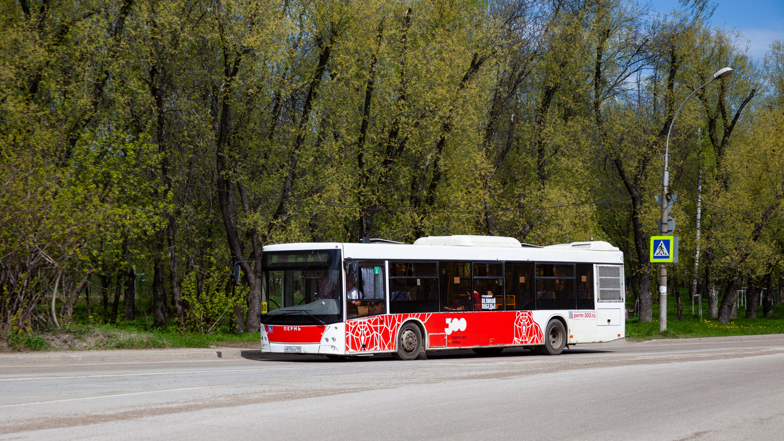 Пермский край, МАЗ-203.016 № Н 876 ЕН 159