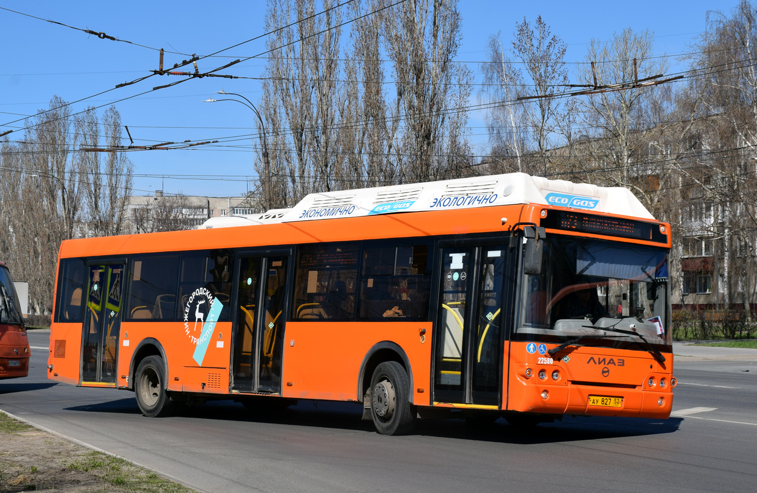Нижегородская область, ЛиАЗ-5292.67 (CNG) № 22580