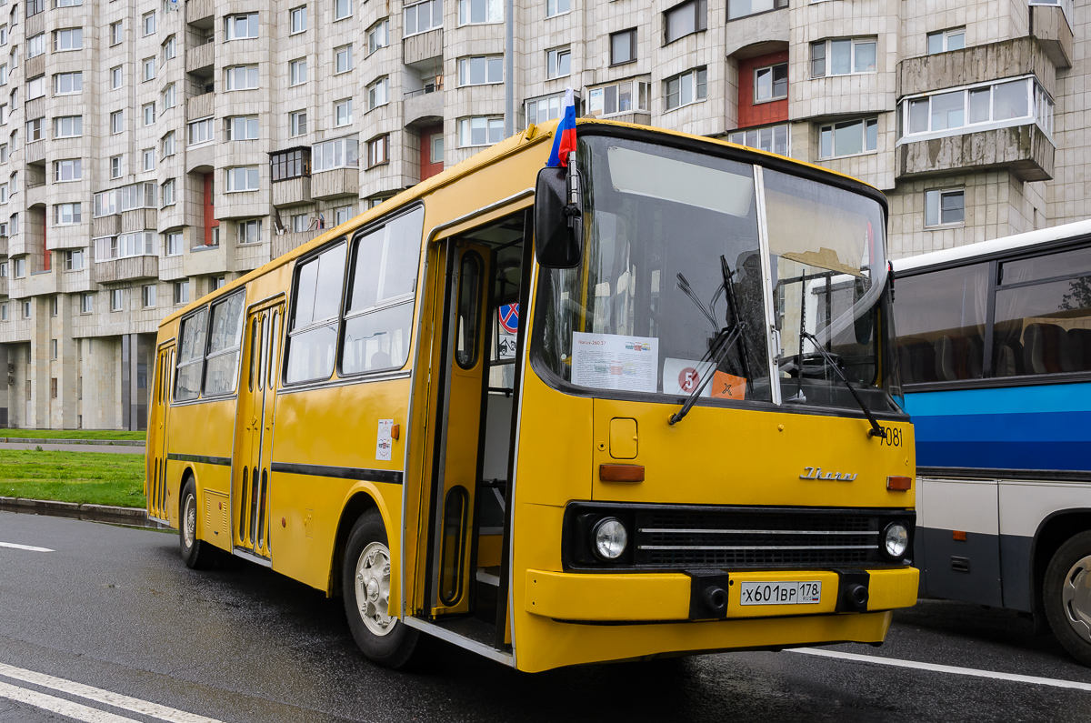 Санкт-Петербург, Ikarus 260.37 № 7081; Санкт-Петербург — VI Международный транспортный фестиваль "ТранспортФест-2025"
