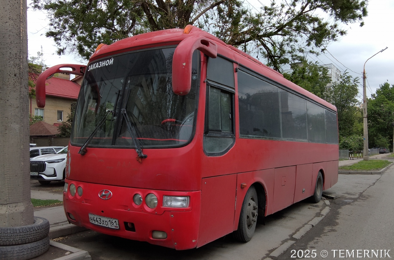 Ростовская область, Hyundai AeroTown № Н 443 ХО 161