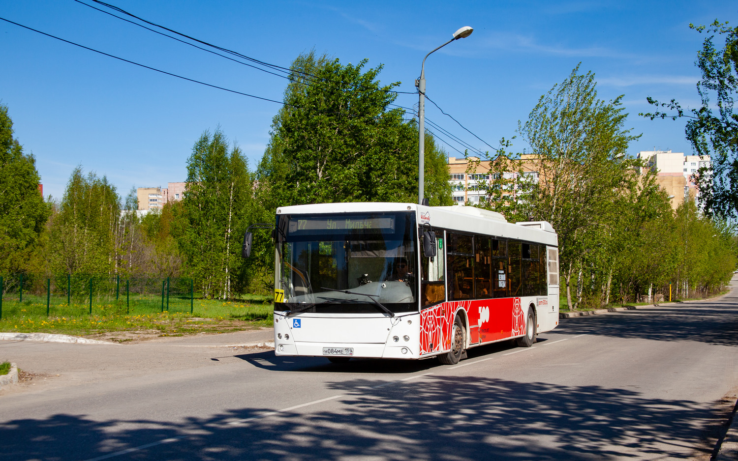 Пермский край, МАЗ-203.016 № Н 084 МЕ 159