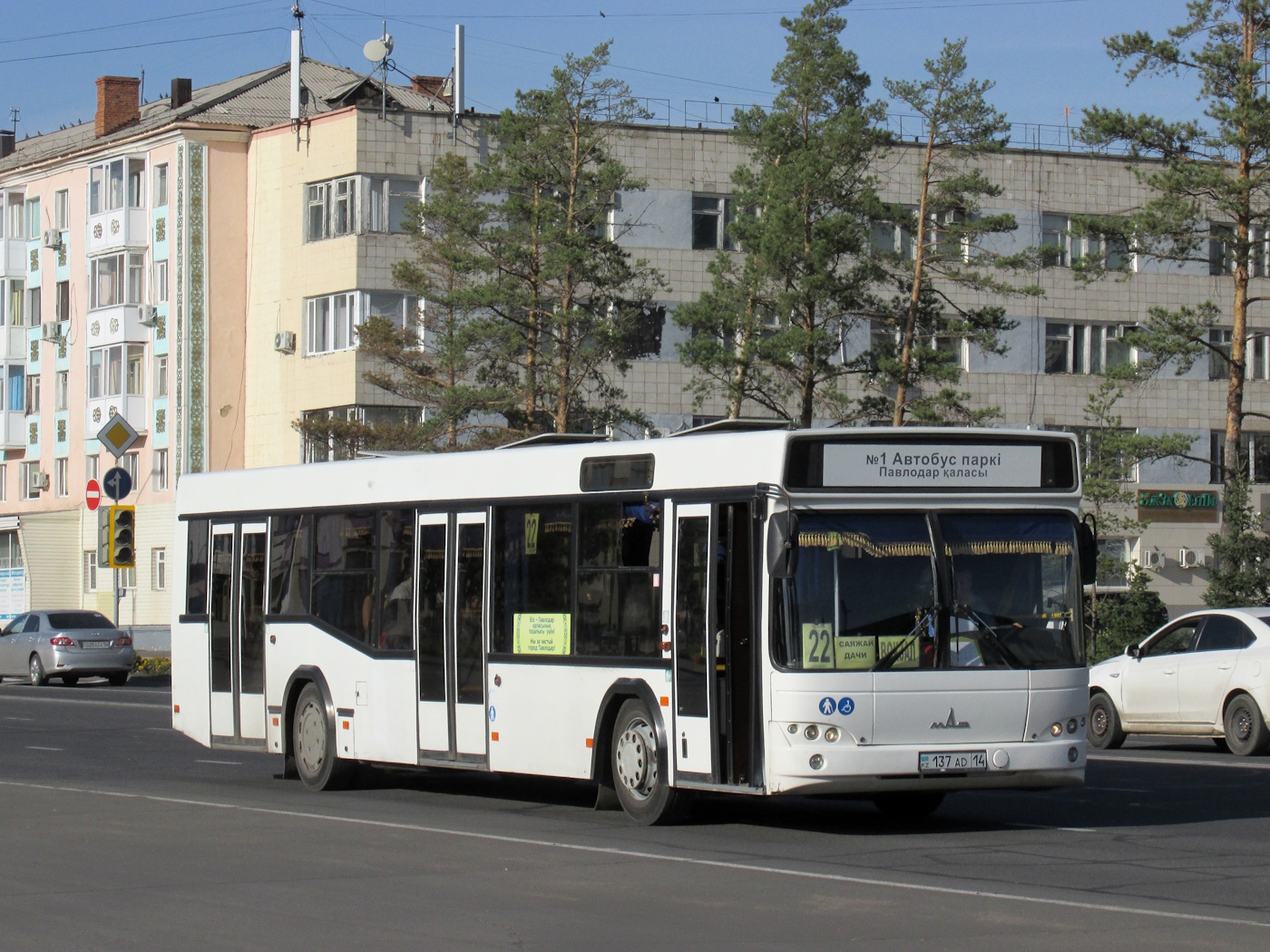 Павлодарская область, МАЗ-103.465 № 137 AD 14