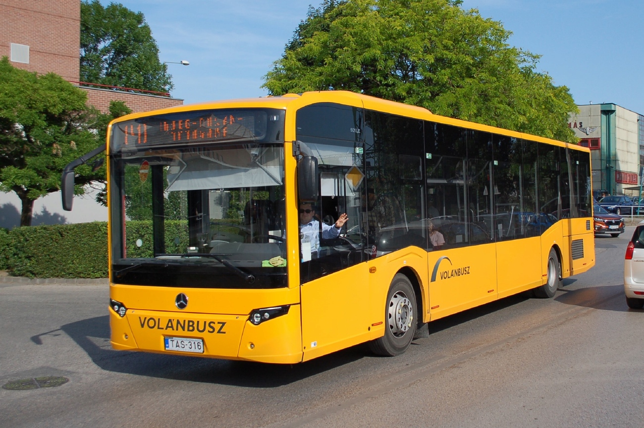 Венгрия, ITK Reform 501LE № TAS-316