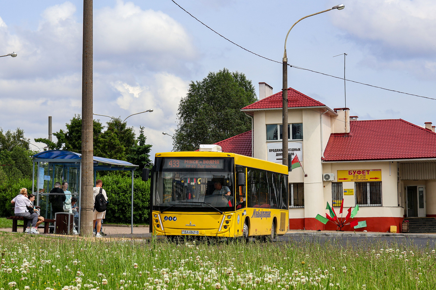 Минская область, МАЗ-206.047 № 239