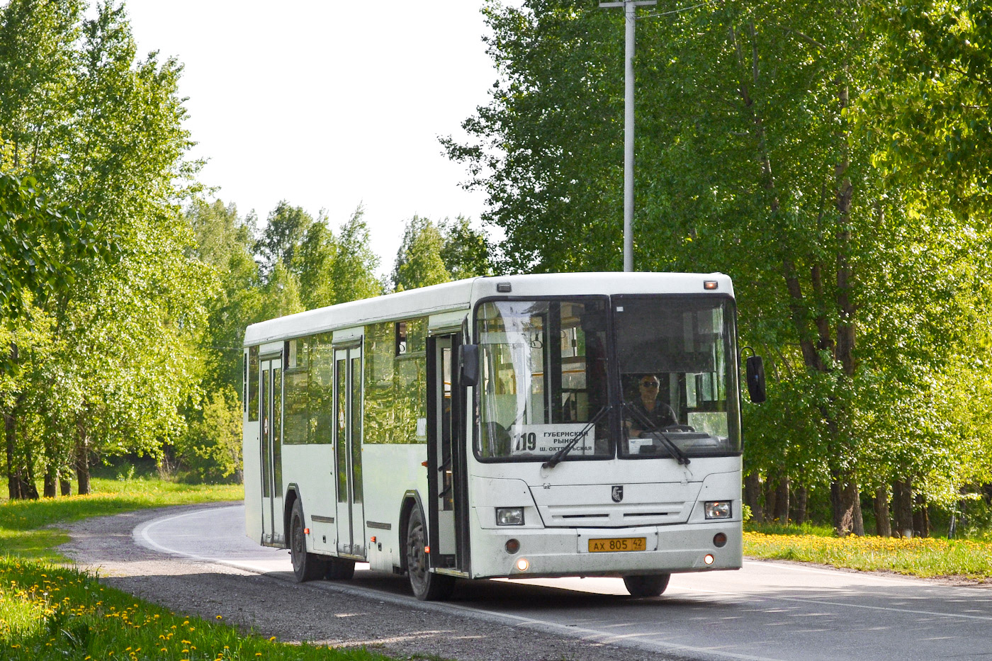 Кемеровская область - Кузбасс, НефАЗ-5299-10-33 № 17758