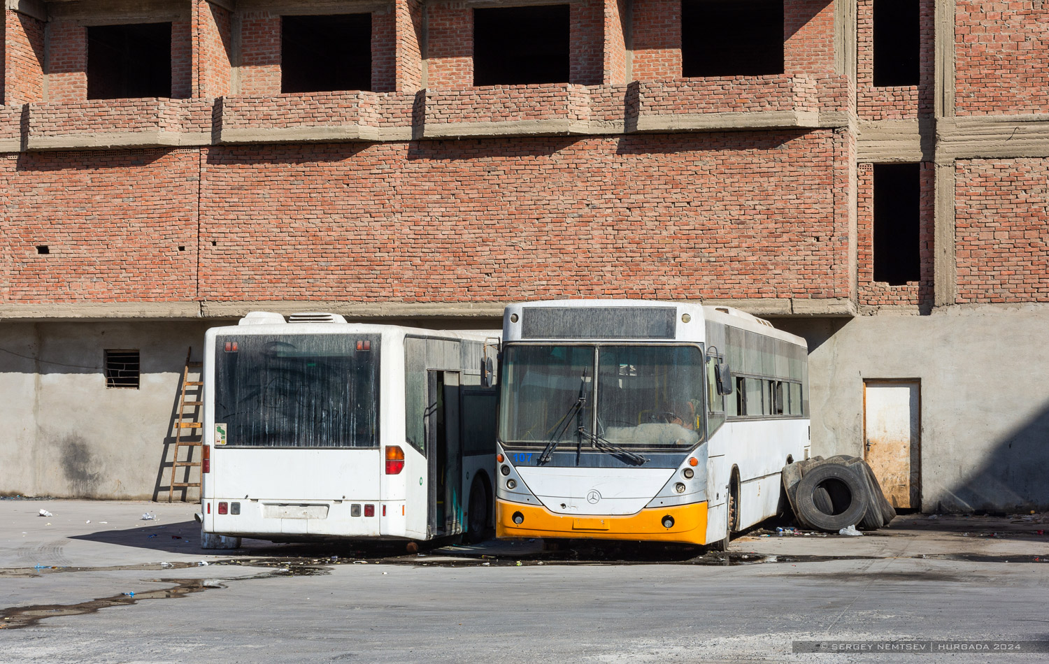 Египет — Автобусы без номеров