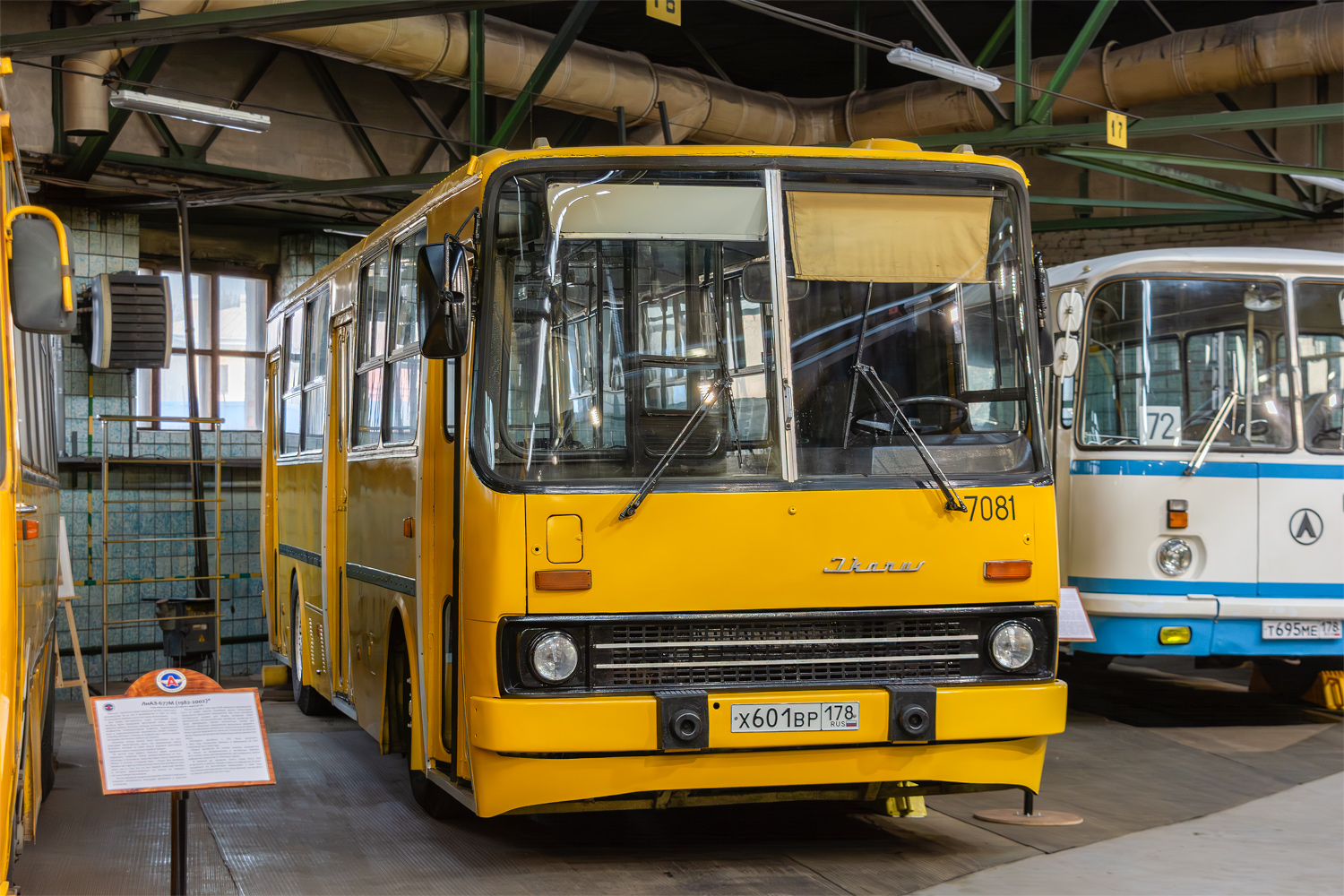 Санкт-Петербург, Ikarus 260.37 № 7081