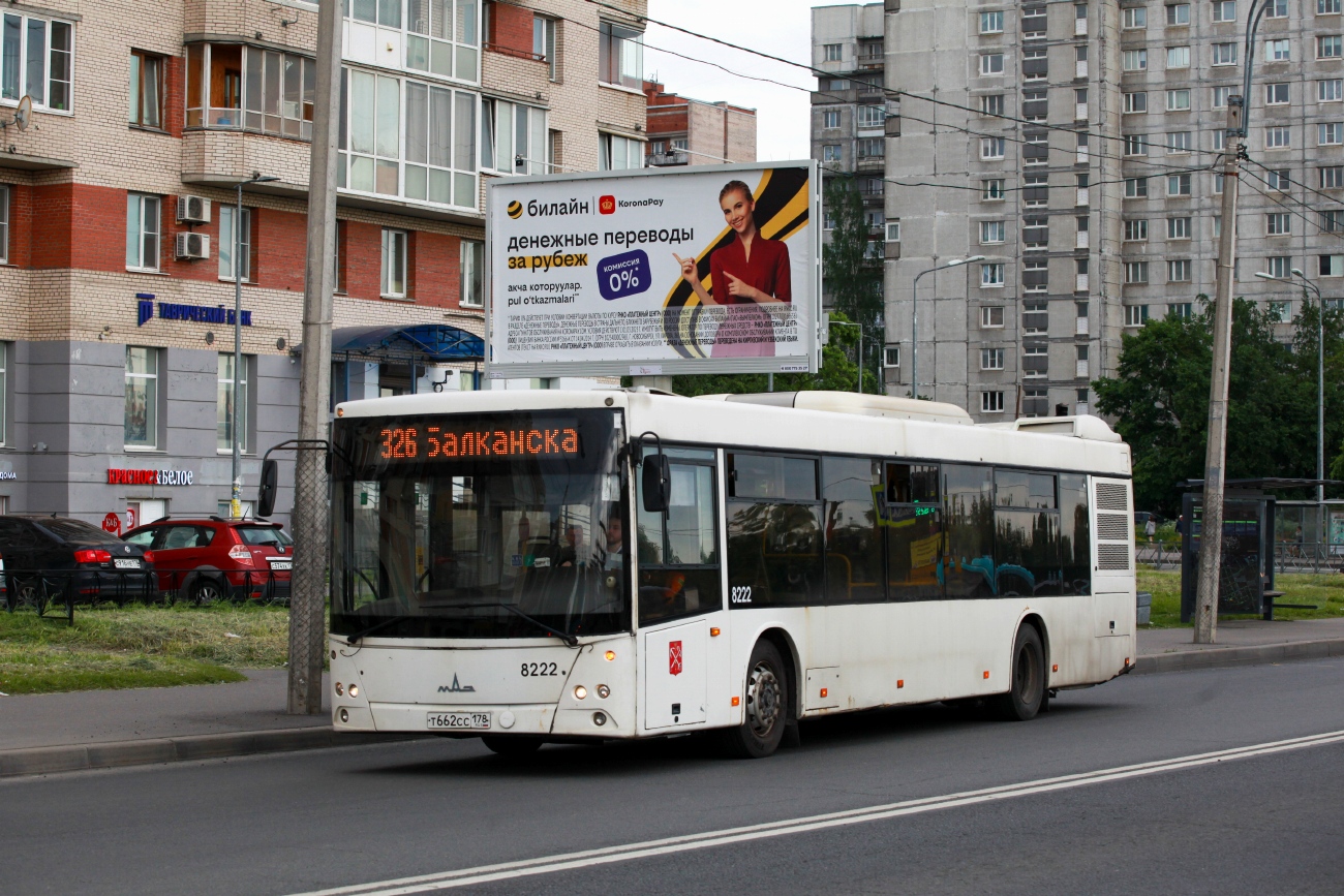 Санкт-Петербург, МАЗ-203.085 № 8222