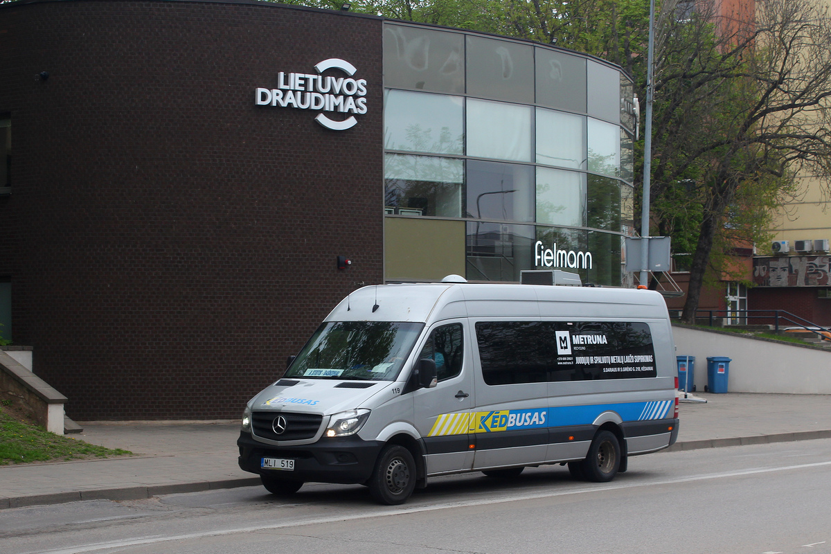 Литва, Mercedes-Benz Sprinter Transfer 45 № 119