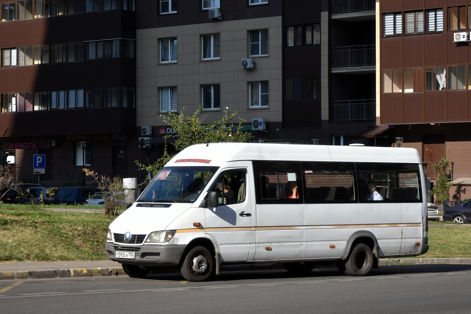 Московская область, Луидор-223203 (MB Sprinter Classic) № Т 593 СН 750
