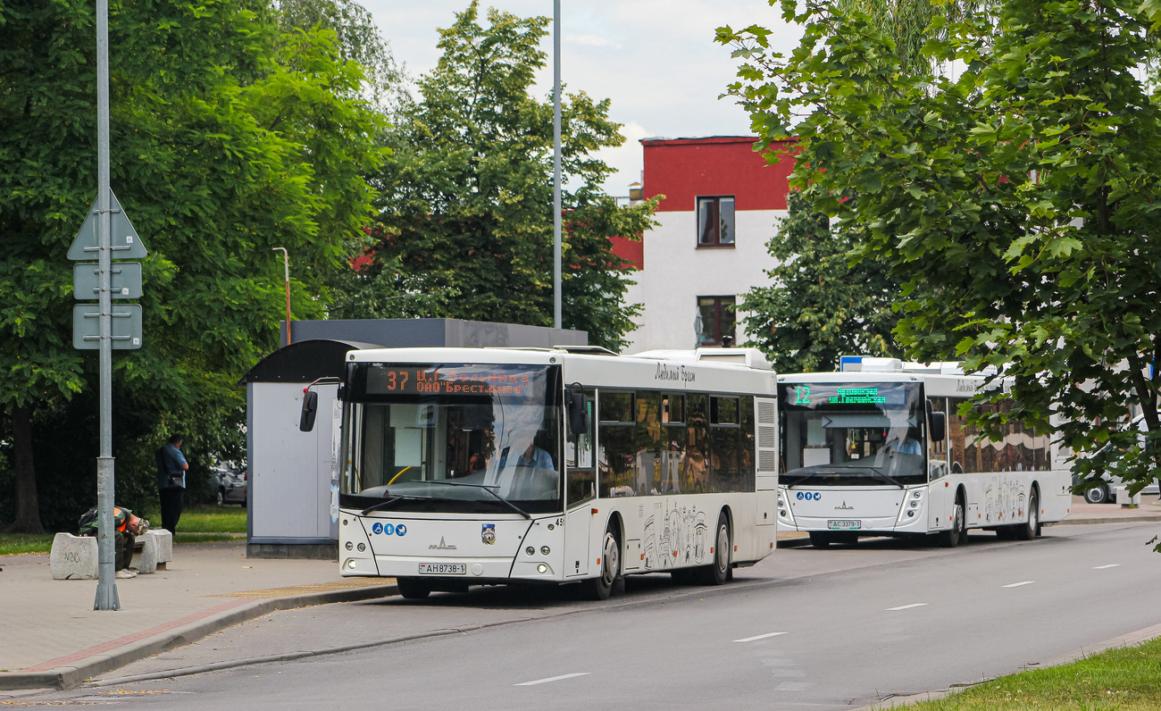 Брестская область, МАЗ-203.016 № 451