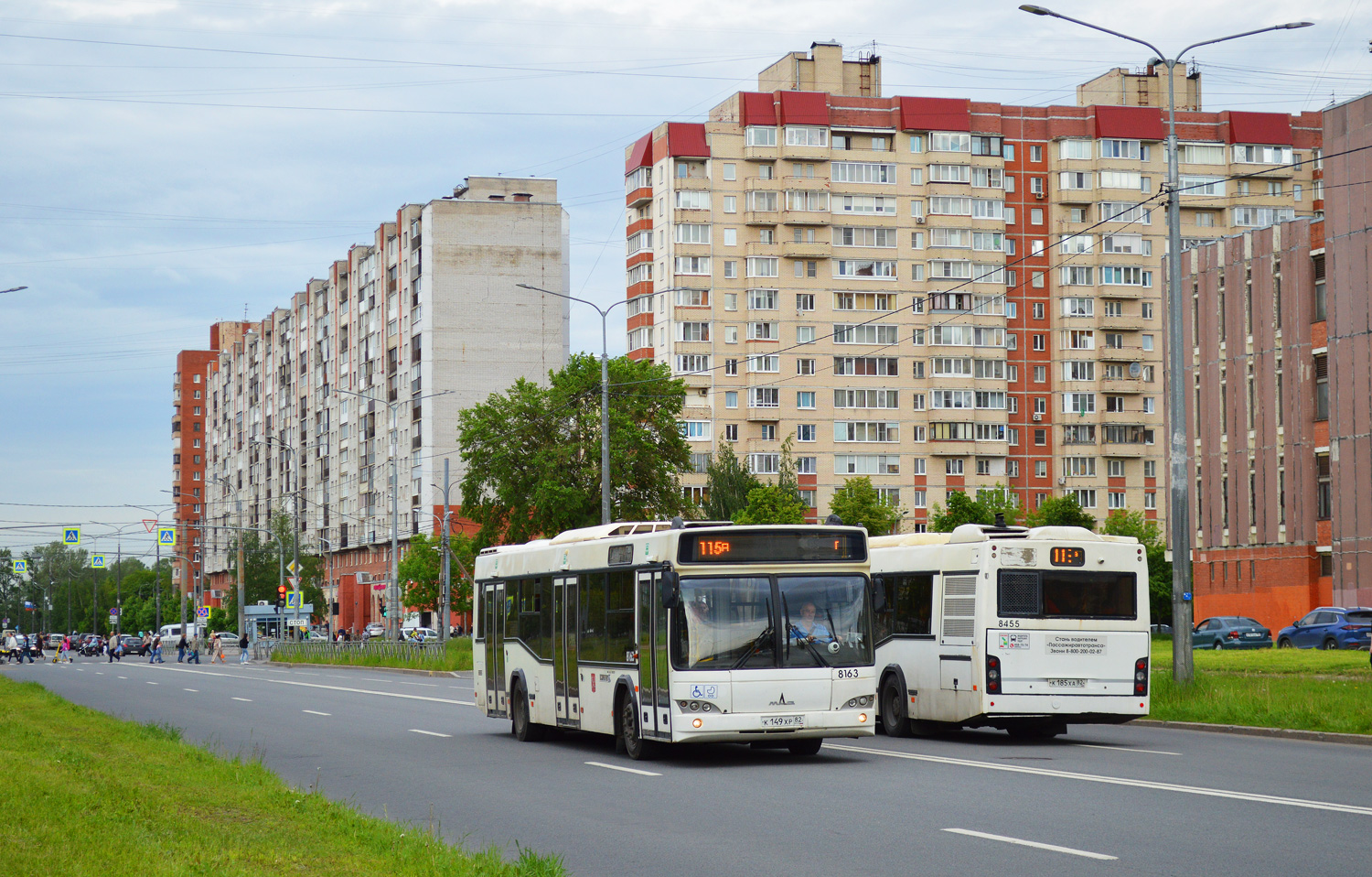 Санкт-Петербург, МАЗ-103.486 № 8163
