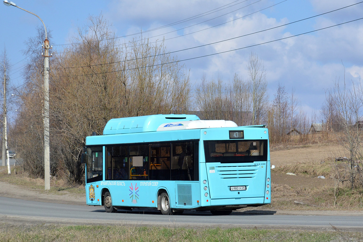 Архангельская область, МАЗ-206.948 № О 980 ТР 29