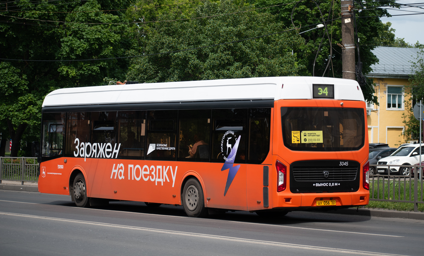 Нижегородская область, ЛиАЗ-6274 № 3045