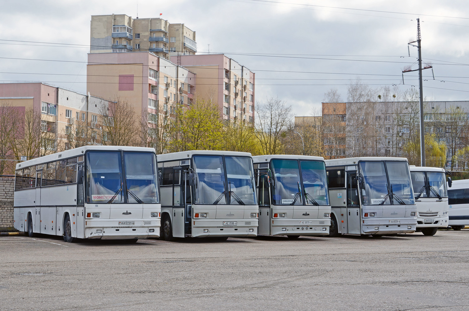 Гродненская область, МАЗ-152.062 № 010741