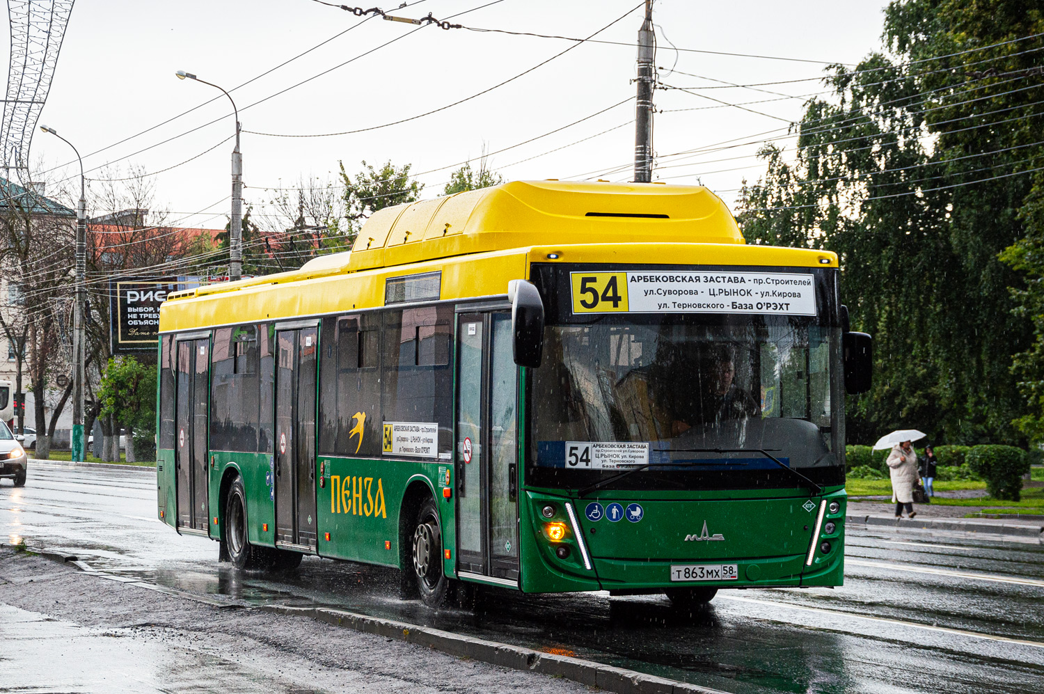 Пензенская область, МАЗ-203.948 № Т 863 МХ 58