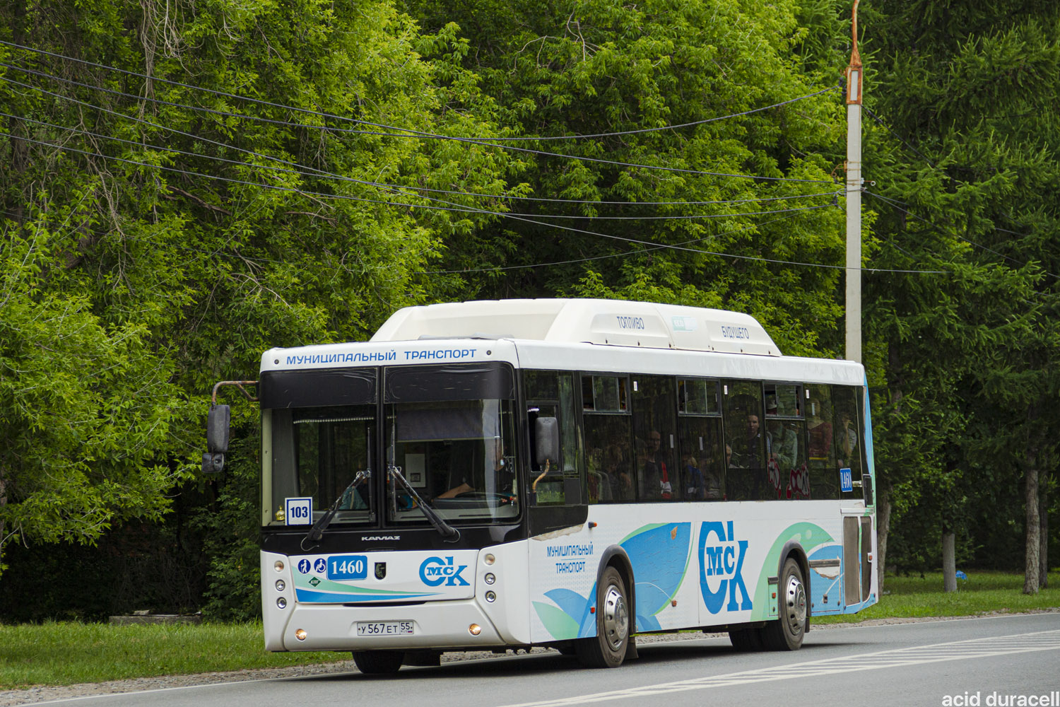 Омская область, НефАЗ-5299-30-56 № 1460