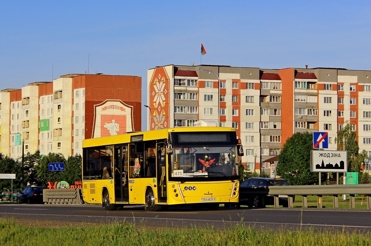 Минская область, МАЗ-206.047 № 12397 Минская область, МАЗ-206.047 № 12397