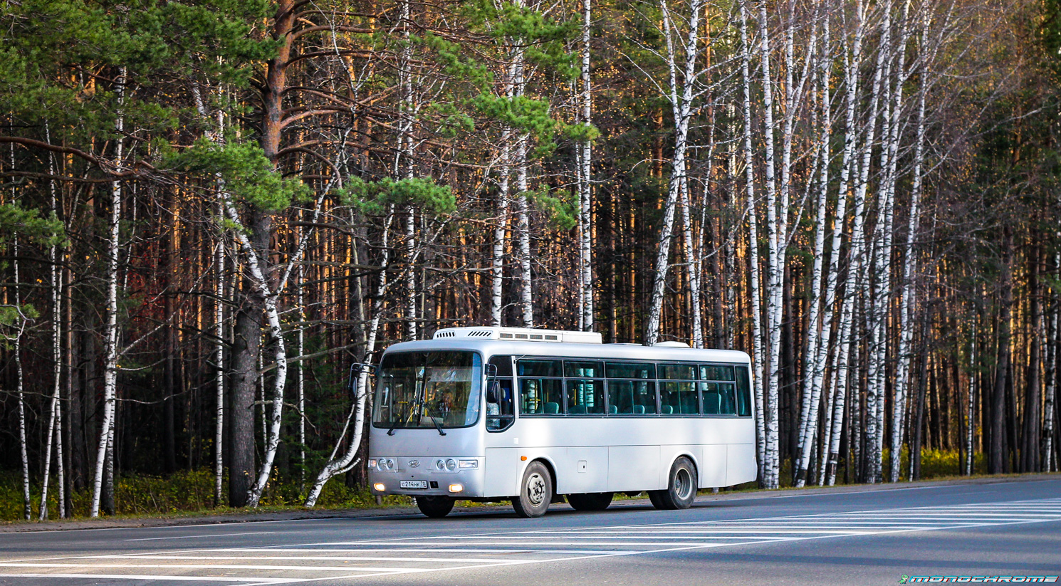 Томская область, Hyundai AeroTown № С 214 НК 70