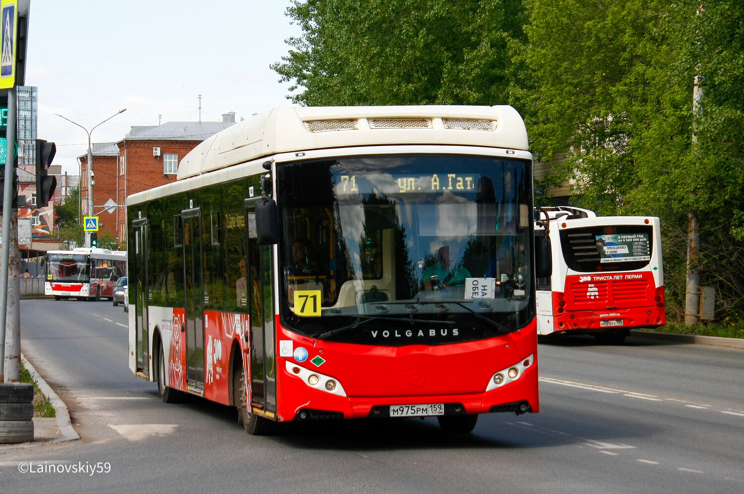 Пермский край, МАЗ-203.016 № Н 881 МЕ 159; Пермский край, Volgabus-5270.G2 (CNG) № М 975 РМ 159