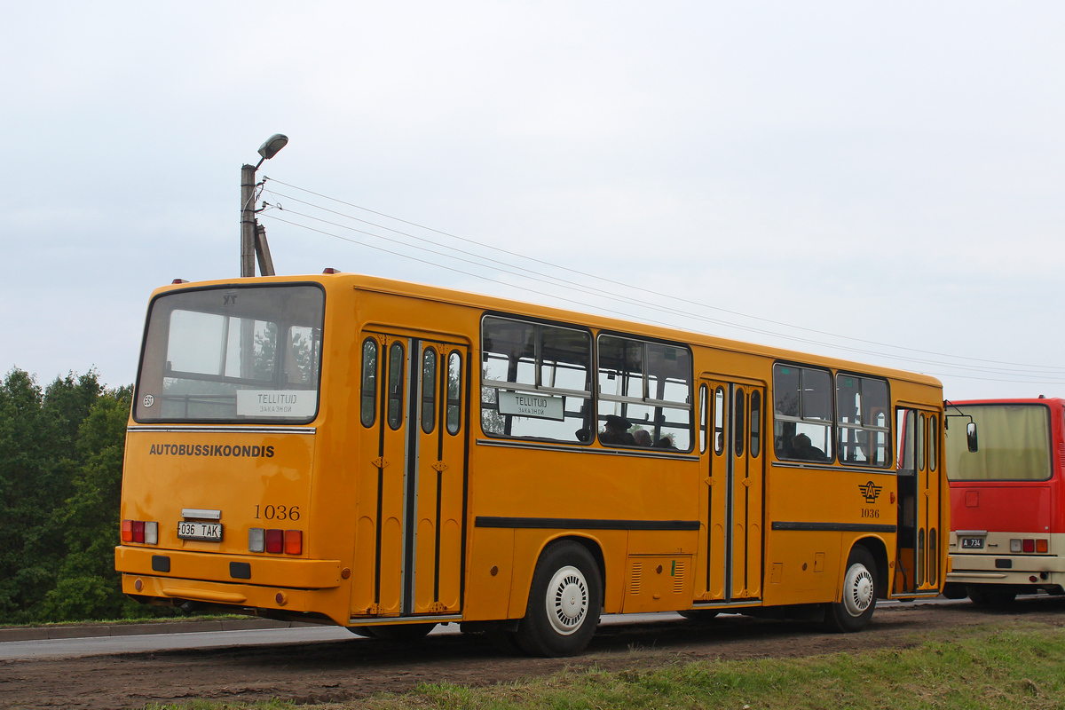 Эстония, Ikarus 260.37 № 1036; Литва — Baltijos kelias 35 | The Baltic Way 35