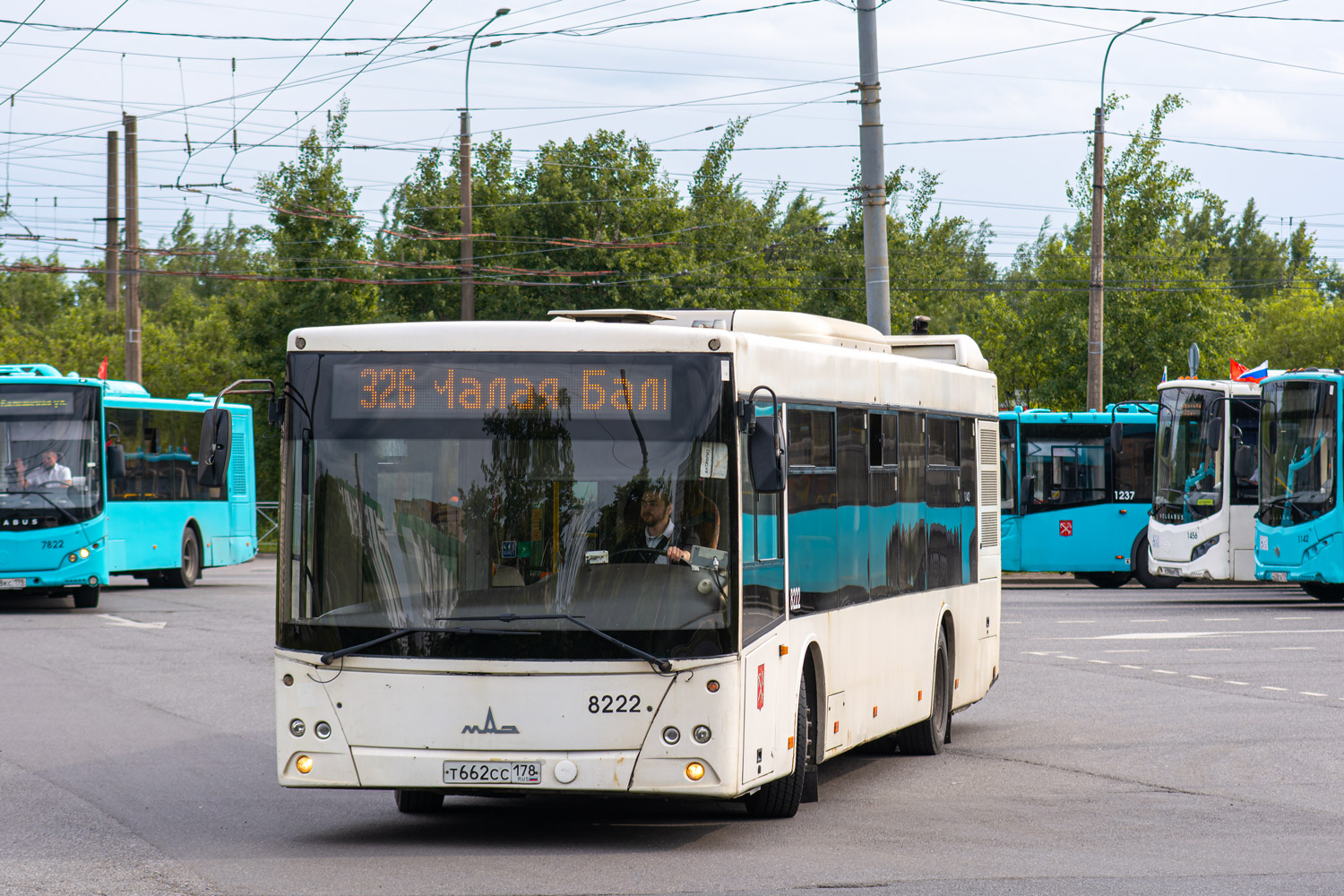 Санкт-Петербург, МАЗ-203.085 № 8222